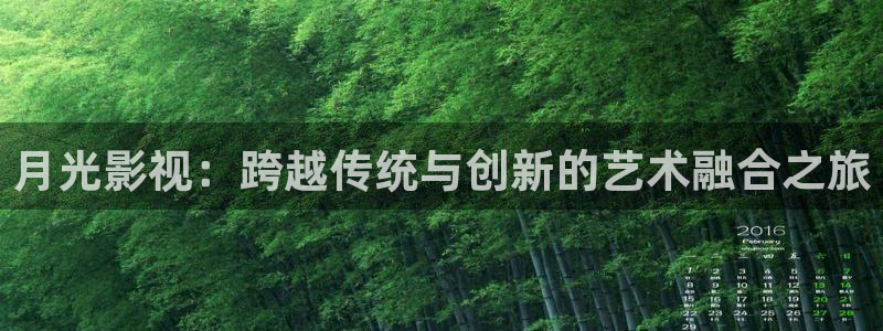 神马三级我不卡电影网
