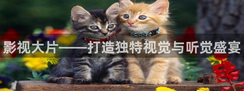 神马电影十伦理