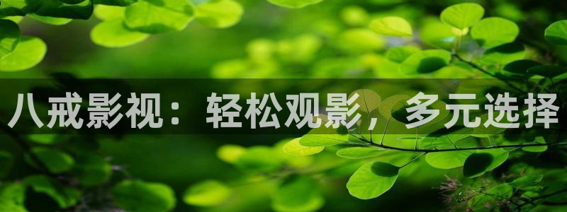 神马影片伦理