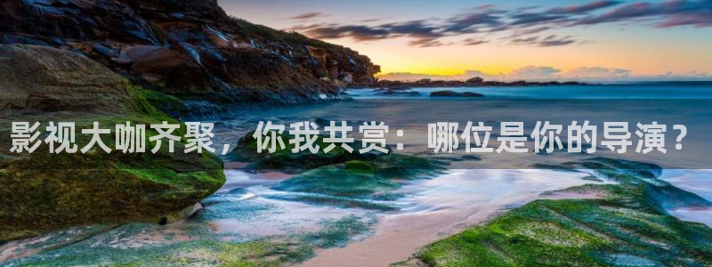 娃娃脸2电影播放神马