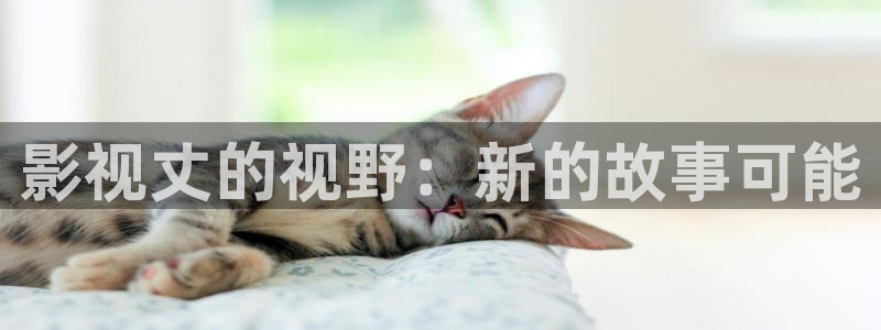 神马第九影视影院