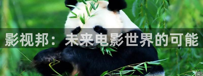 神马影视午夜不卡