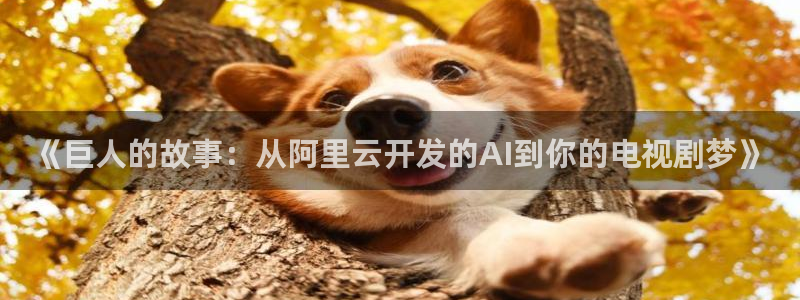 第九达达兔影院神马