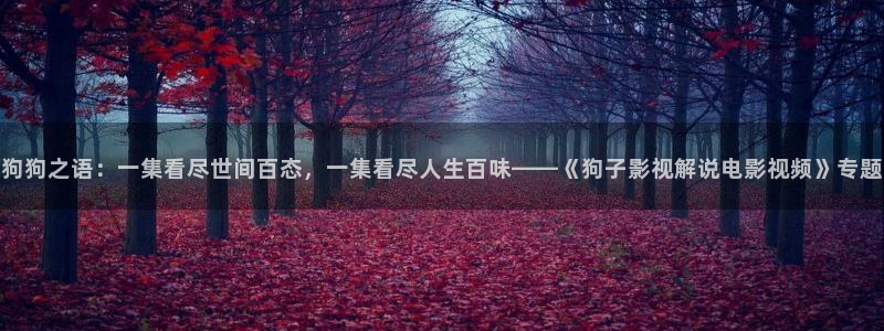 神马影院美人图