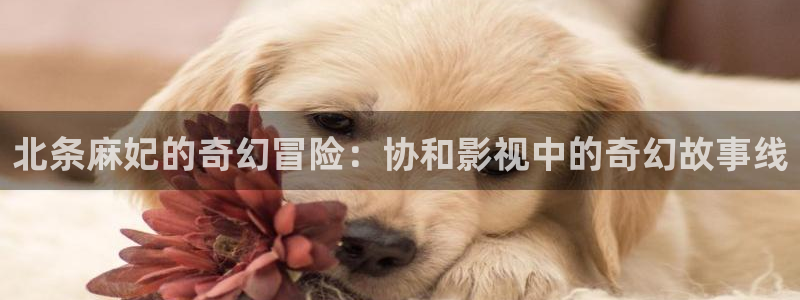 新还珠格格神马影院：北条麻妃的奇幻冒险：协和影视中的奇幻故事线