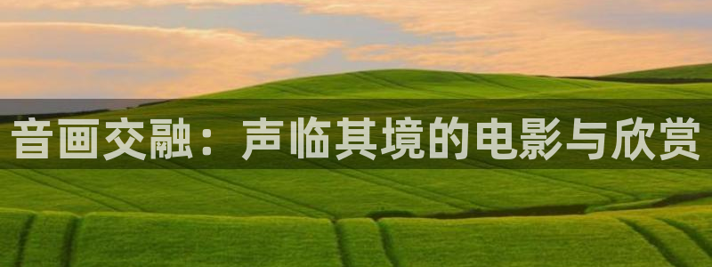 神马老子伦理影视
