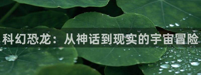 天堂神马电影
