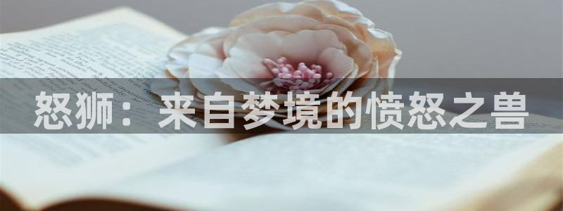 神马影院的网址