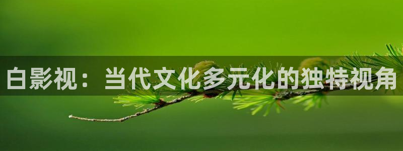 91神马午夜影院：白影视：当代文化多元化的独特视角