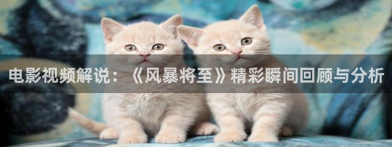 美景之屋2神马影院：电影视频解说：《风暴将至》精彩瞬间回顾与分析
