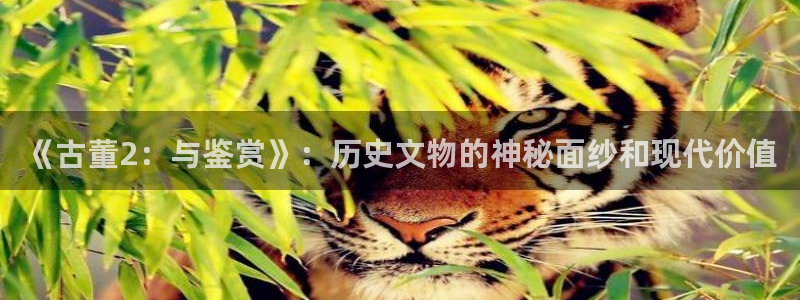 午夜神马我不卡影院：《古董2：与鉴赏》：历史文物的神秘面纱和现代价值