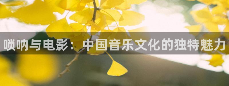 三级黄色片神马影院：唢呐与电影：中国音乐文化的独特魅力