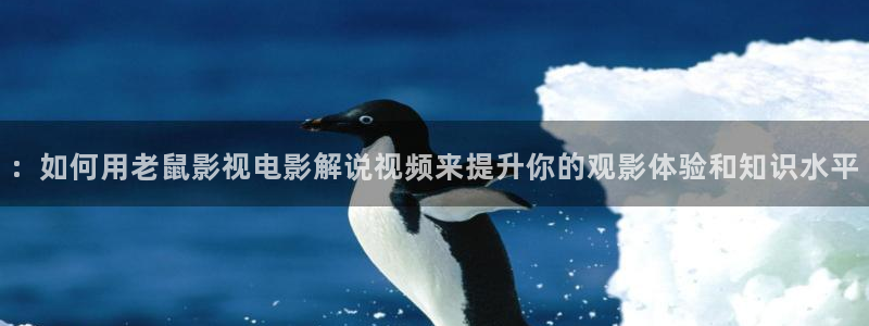 神马在线伦理视频在线观看