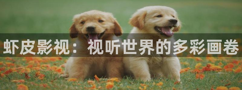 黑狐影院神马电影