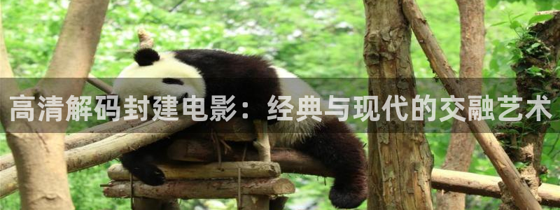 神马影视剧场