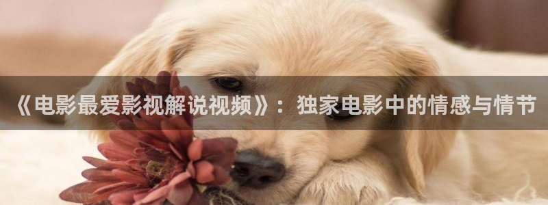 神马影院三级网站