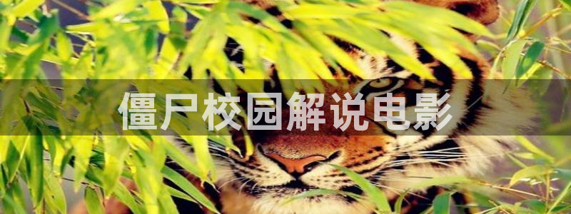 神马影院神马午夜
