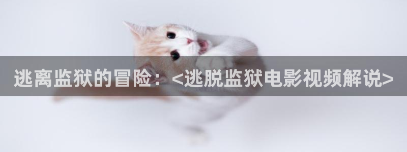 神马的影视