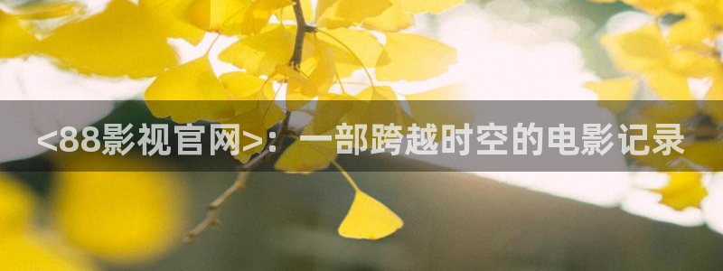 神马我不卡伦理影院