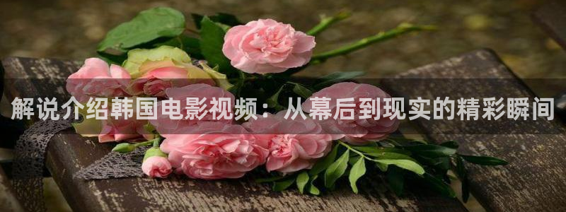 原来神马达达兔电影免费