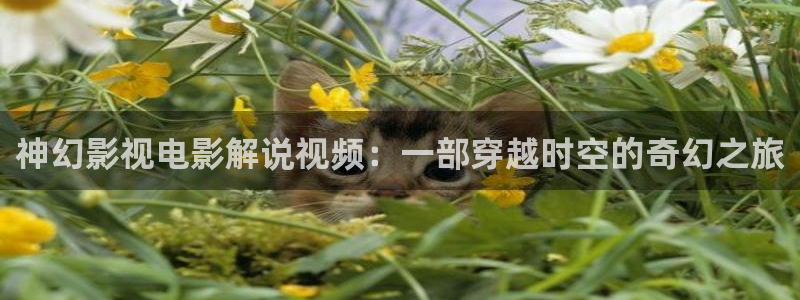 神马私人电影