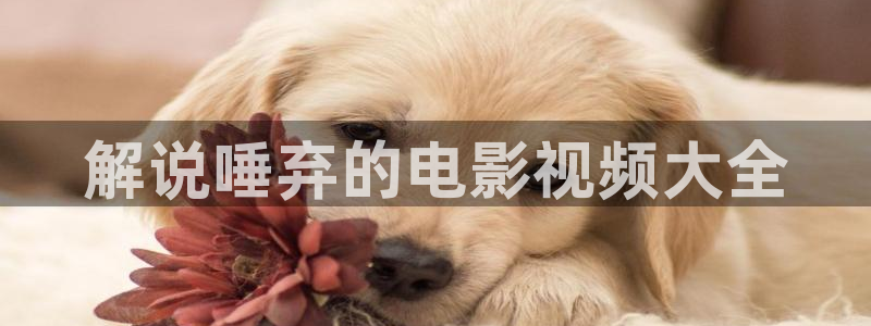 神马在线不卡电影
