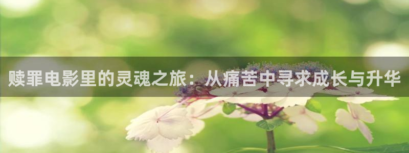 空房间神马影院