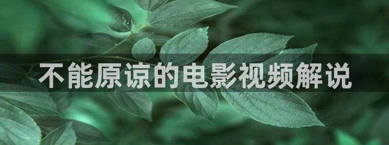 www,神马影院