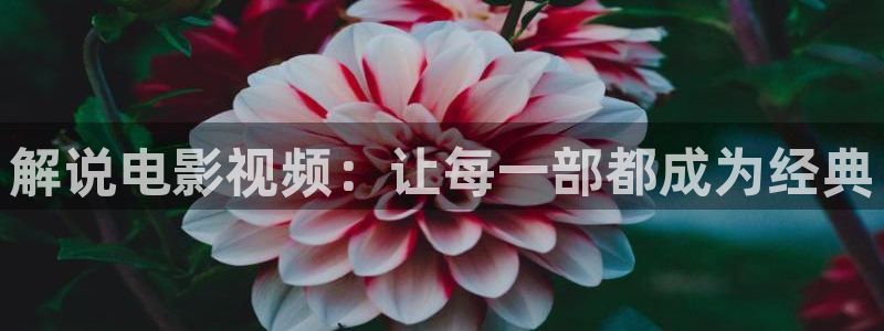 神马影院午夜激情场