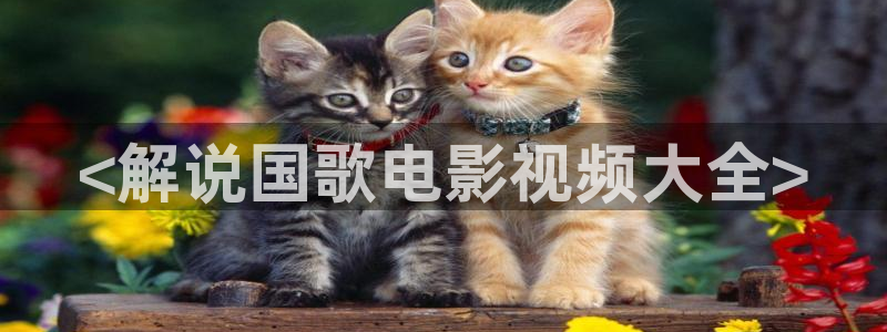 神马电影电影院
