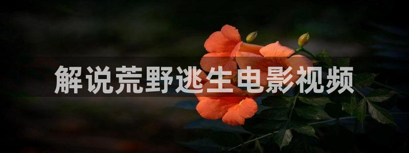 秋霞神马电影网