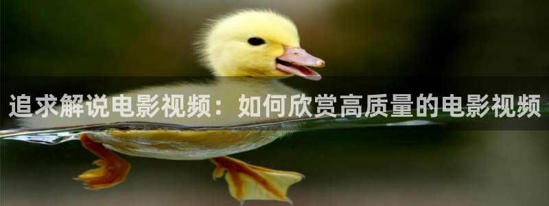 神马我不卡神不卡