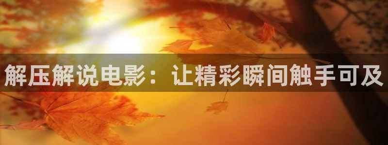 神马我不卡手机影视