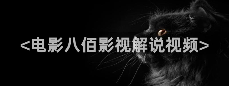 神马影院在线观看视频