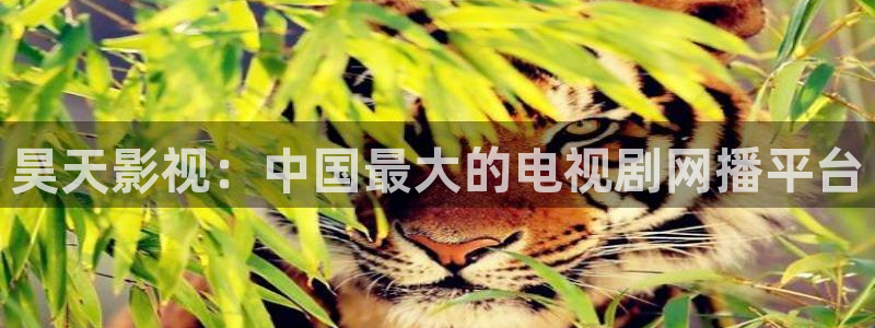 神马影院r