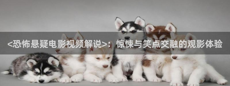 神神马电影