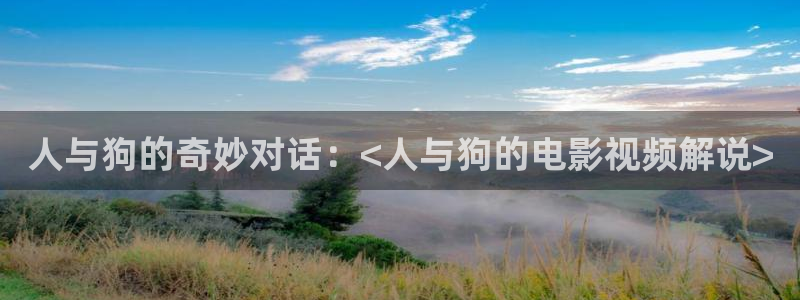 神马电影网午夜片
