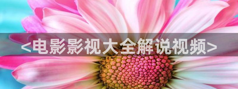 神马视频达达兔