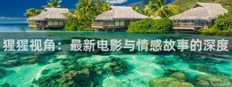 神马高清在线