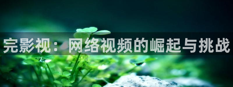欧美神马西西影视