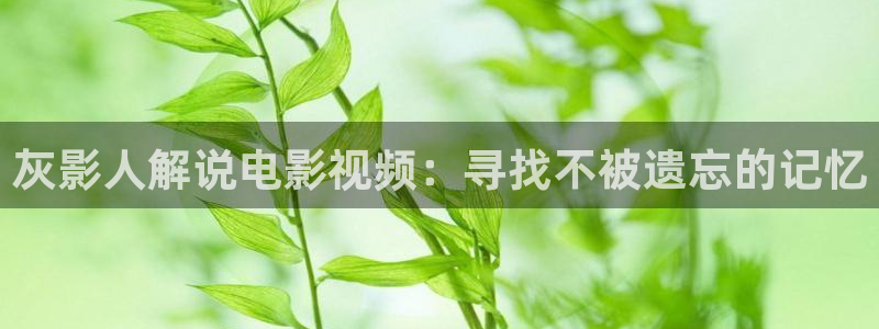 y8888午夜神马影院