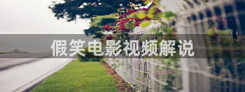 日韩伦理片神马影院