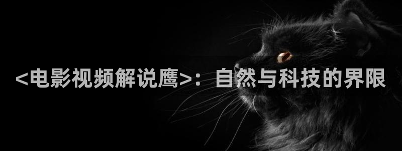 达达兔神马影院秋霞电影