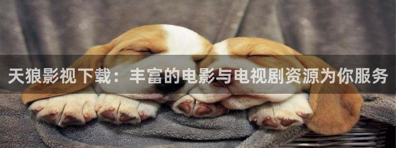 年轻的妻子神马影视
