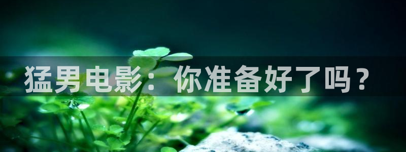 神马影院电视剧排行榜