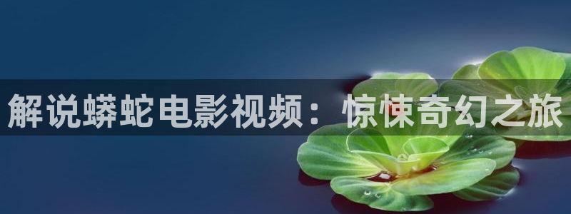 最新神马影视：解说蟒蛇电影视频：惊悚奇幻之旅