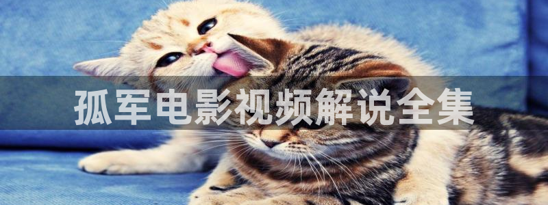 神马影院达达兔在线播放