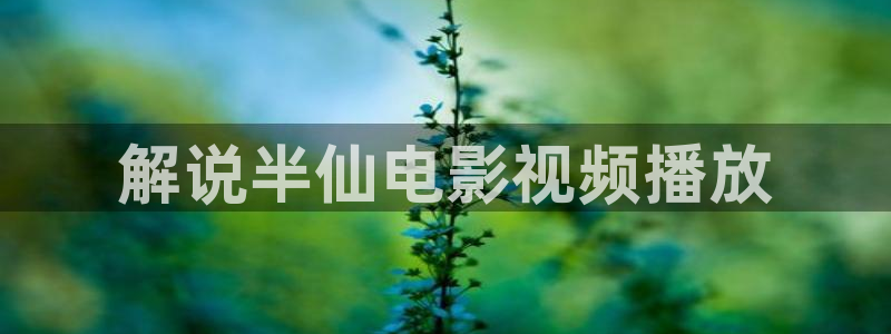 神马影院手机影院在线