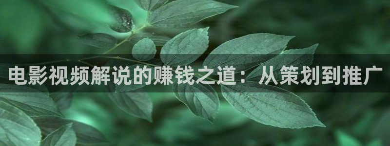 神马伦理片电影
