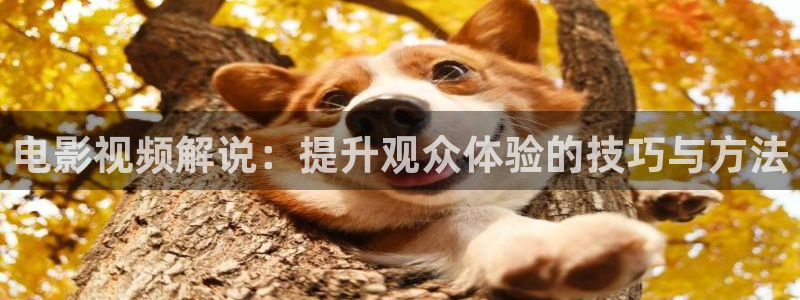 神马影院天天影院